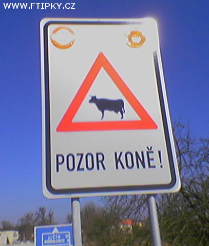 pozor-kone.jpg